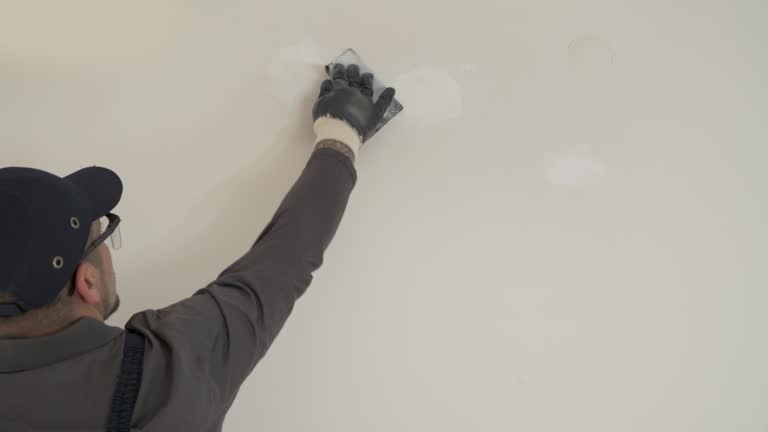 Best Ceiling Drywall Installation  in East Alton, IL